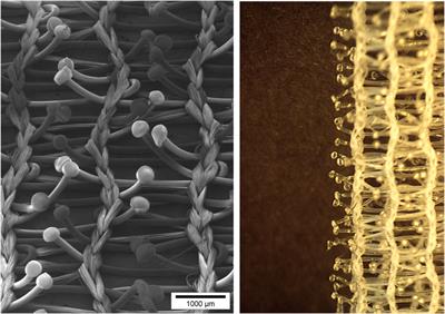 Cutting Board; Polypropylene, Electron Microscopy Sciences